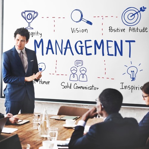Robust Project Management Methodologies