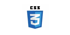 css3