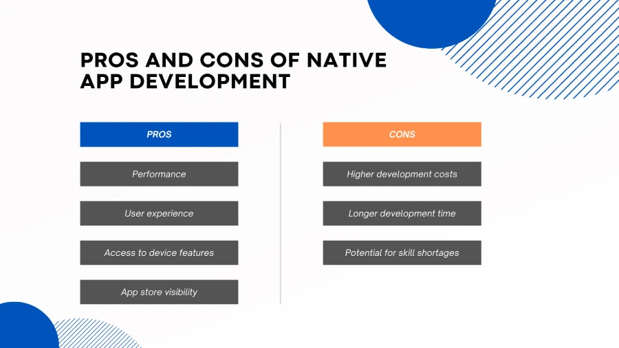 sts software gmbh - pros and cons of native app development